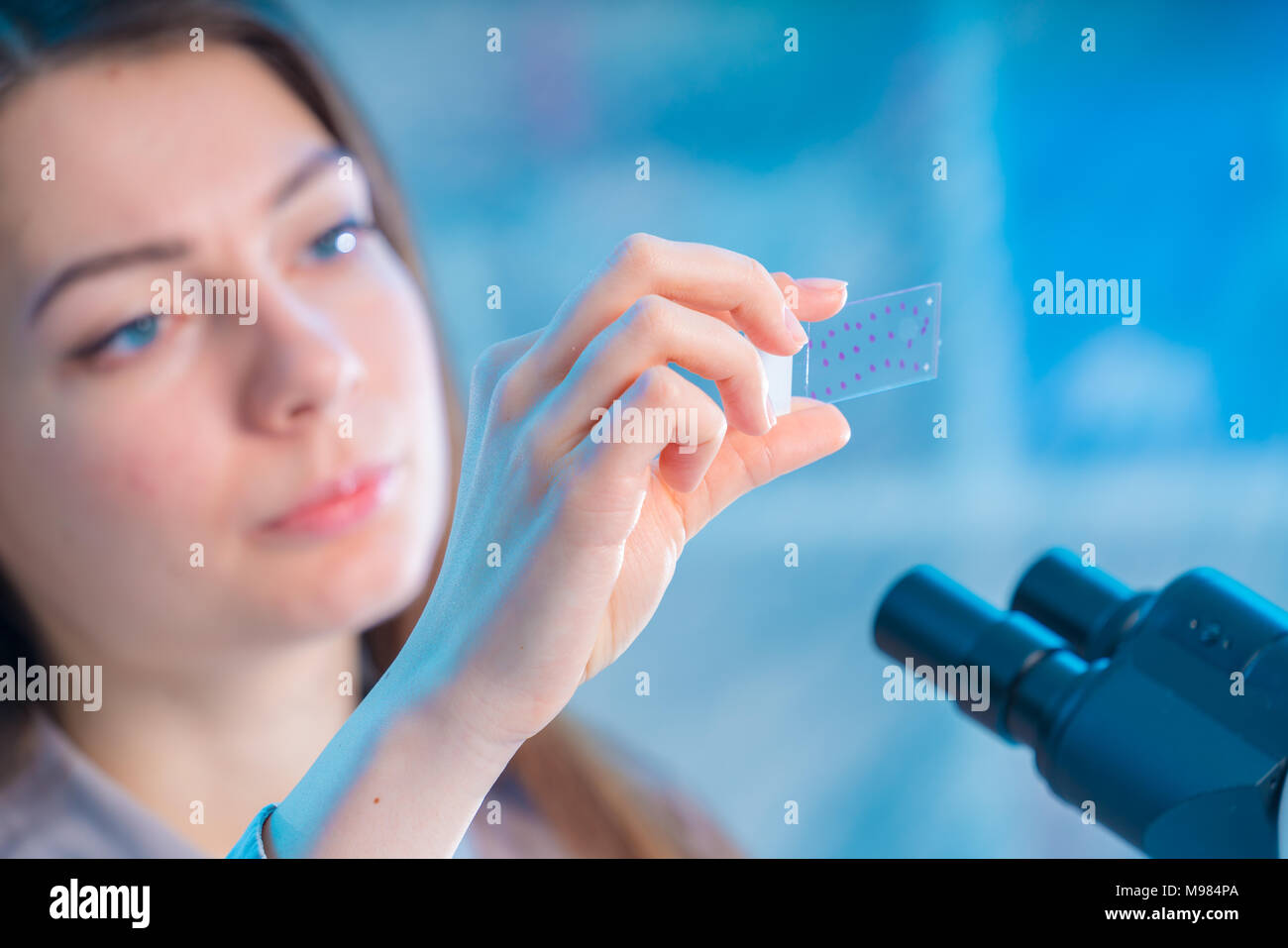 female technician take sample on microscope slide Stock Photo - Alamy