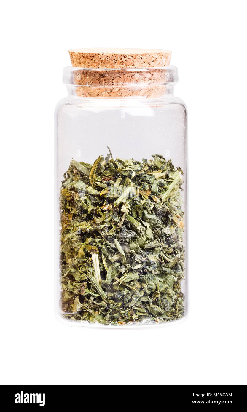 Dry Nightshade Brinjal, Solanum melongena Linn in a bottle Stock Photo