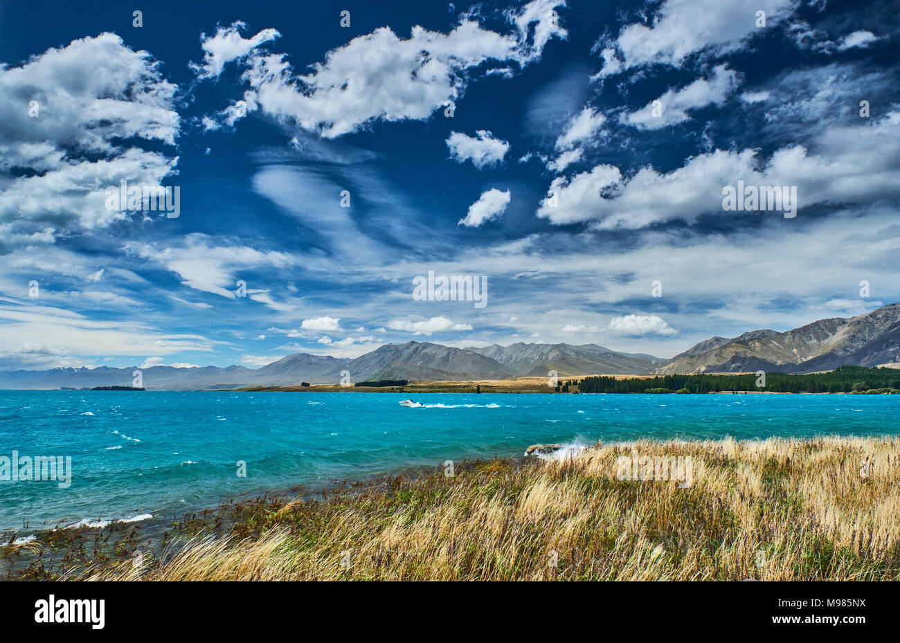 New Zealand, South Island, Lake Tekapo Stock Photo - Alamy