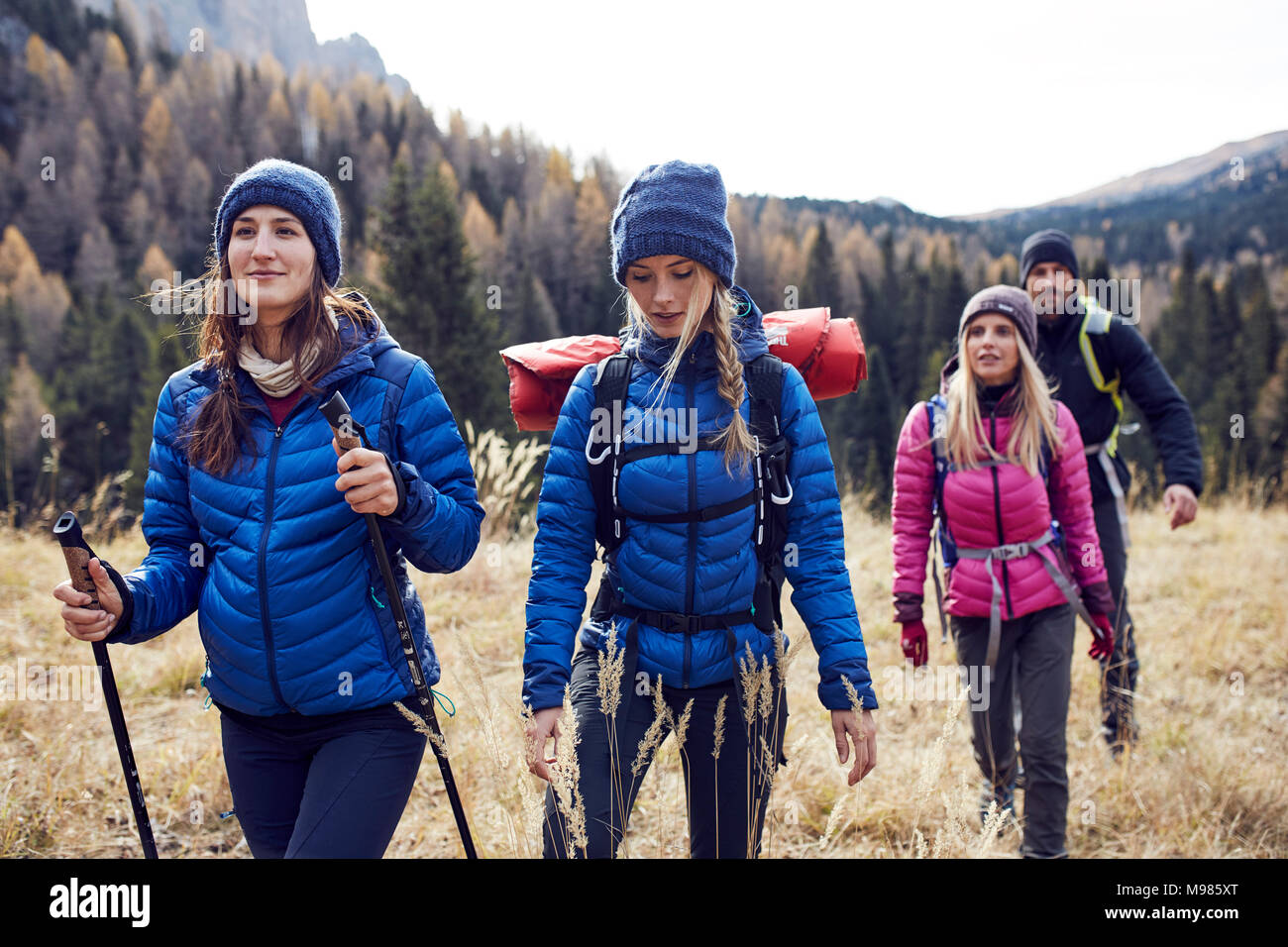 Group of friends hiking in the mountains Stock Photo