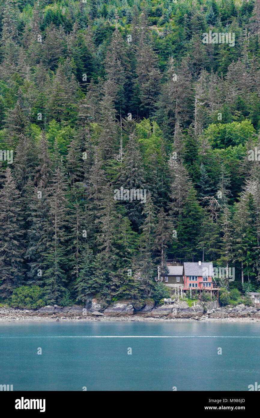 Alaska sea trees hi-res stock photography and images - Alamy