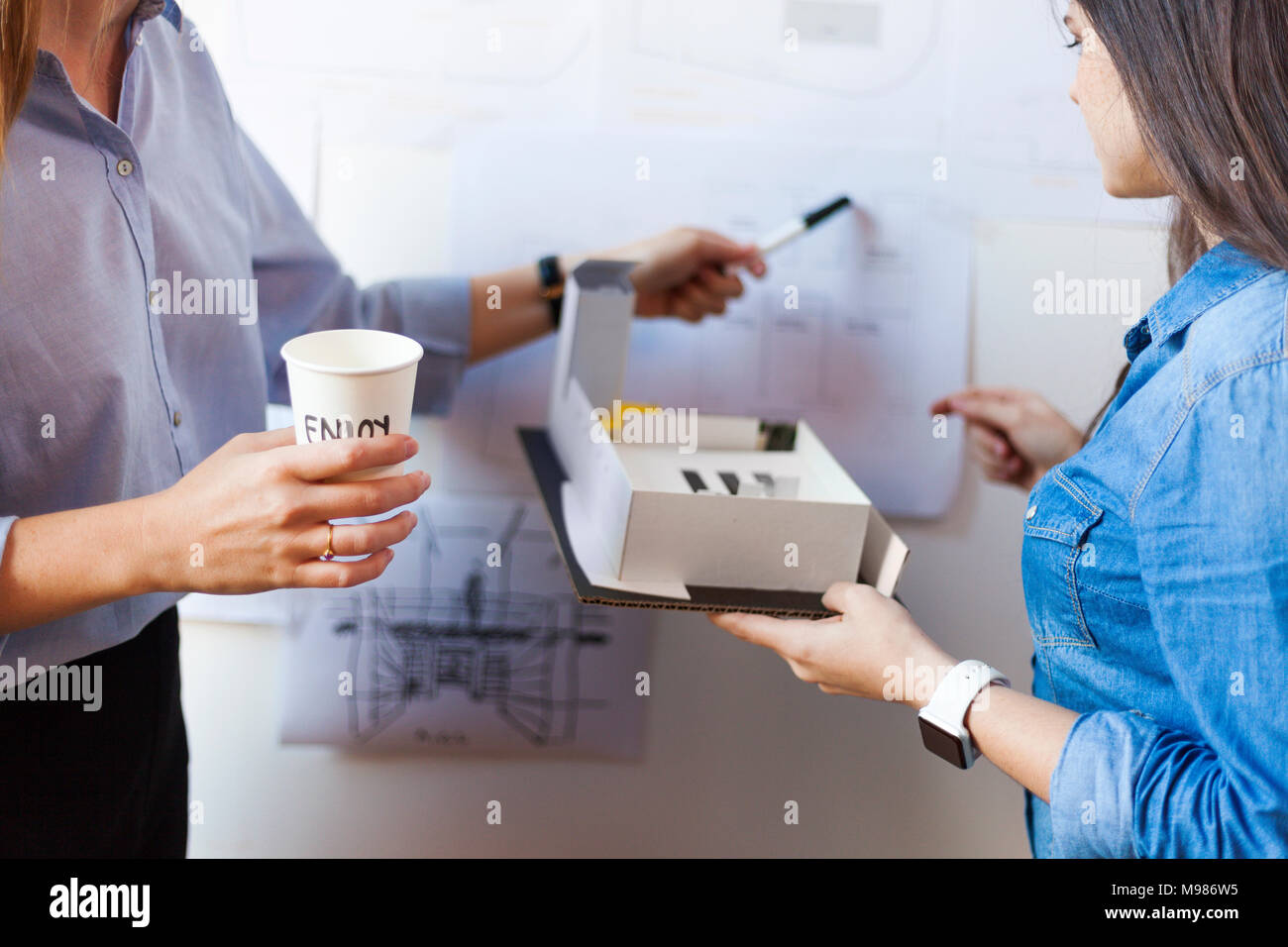 Female architects working on a project Stock Photo