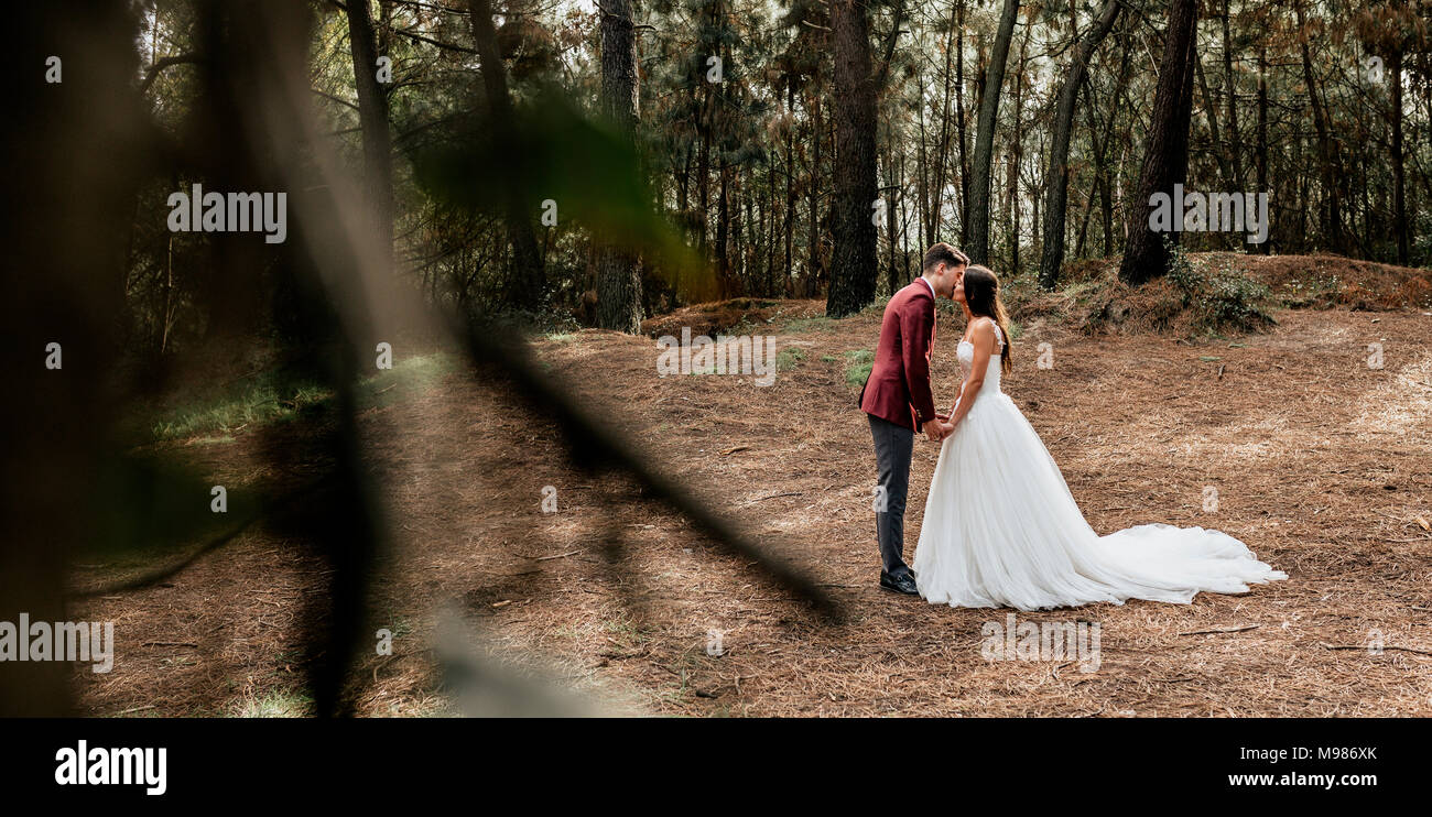 Bride and groom kissing in forest Stock Photo - Alamy