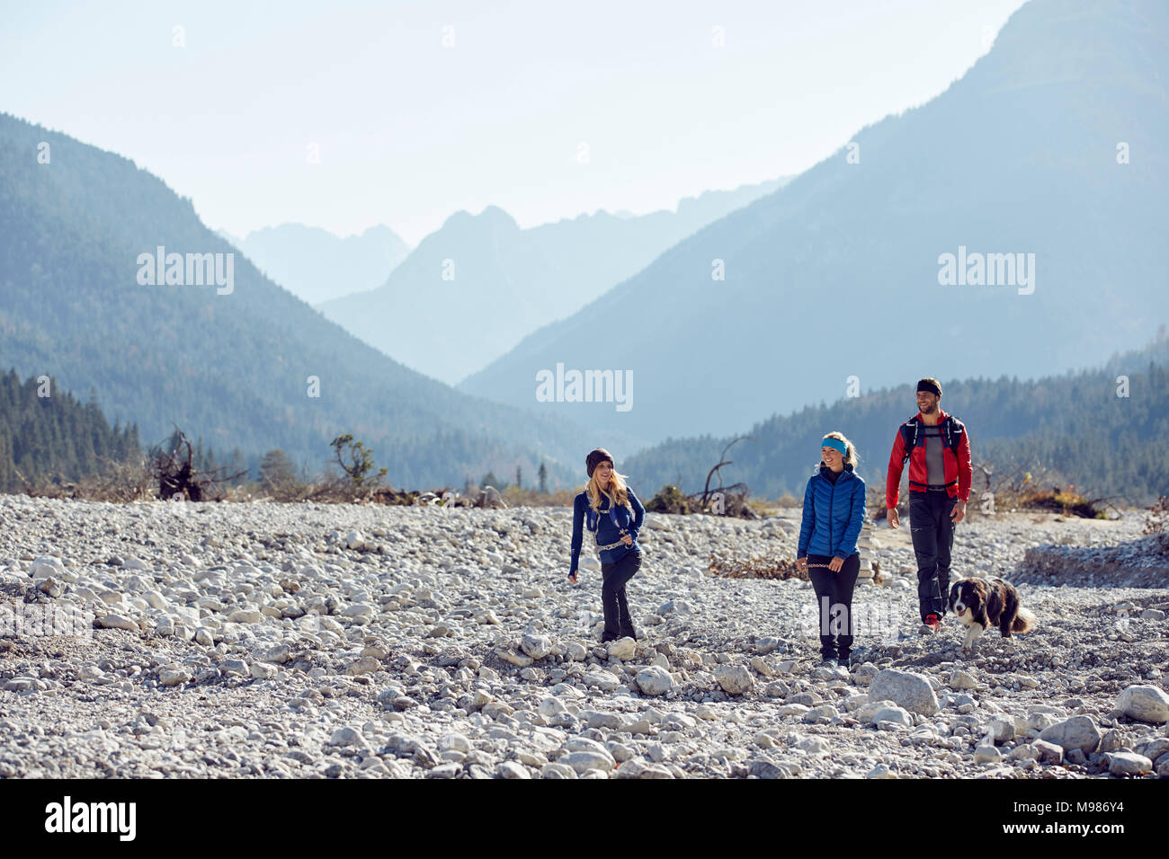 Hiking in mountain with dog hi-res stock photography and images - Alamy