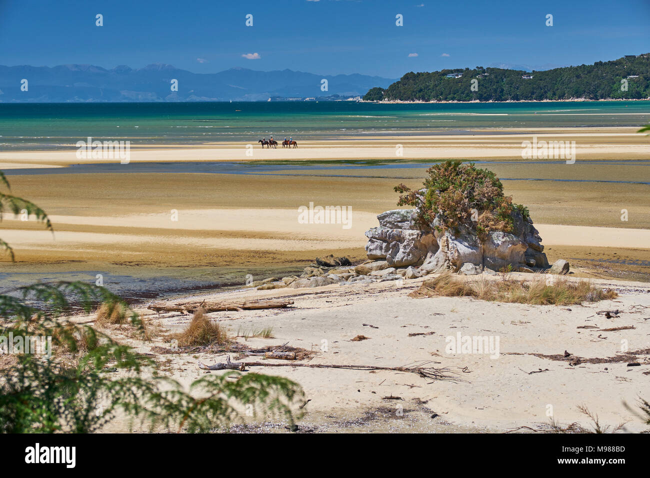New Zealand, South Island, Abel Tasman National Park, beach landscape Stock Photo