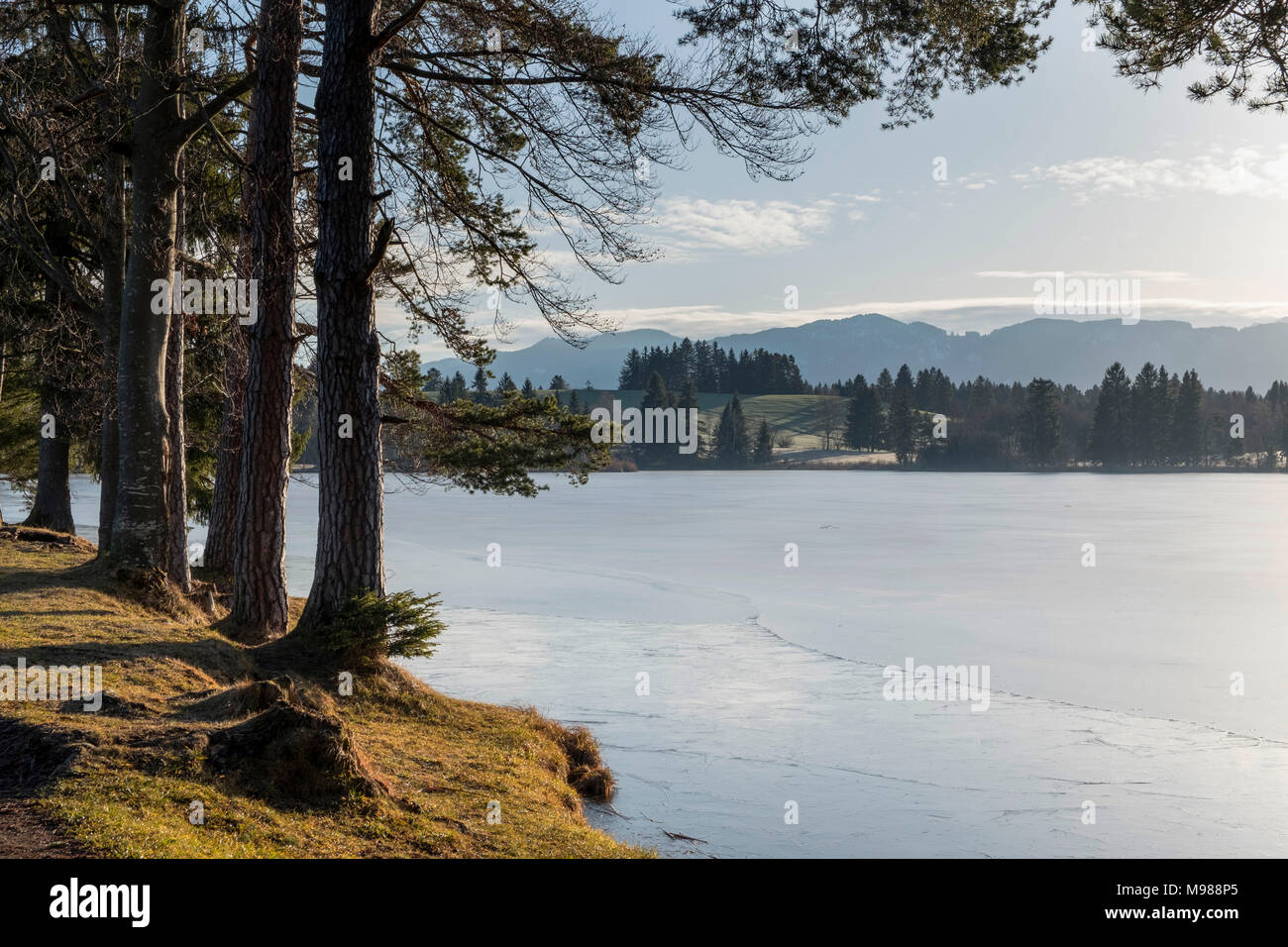 Schmutterweiher bei Roßhaupten, , Ostallgäu, Allgäu, Schwaben, Bayern, Deutschland Stock Photo