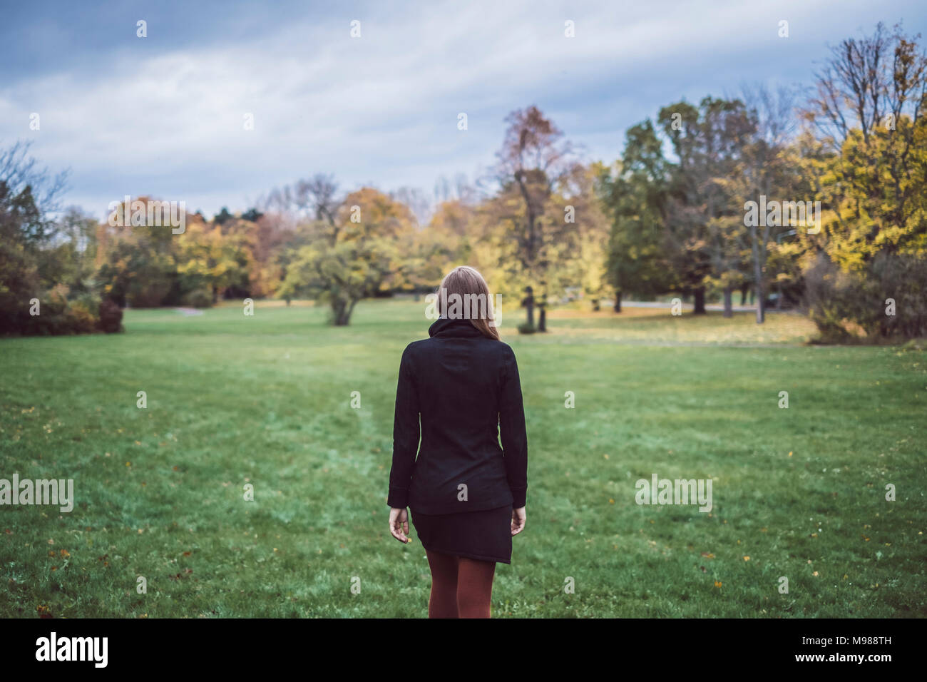 Back view of young woman walking on a meadow in autumnal park Stock ...
