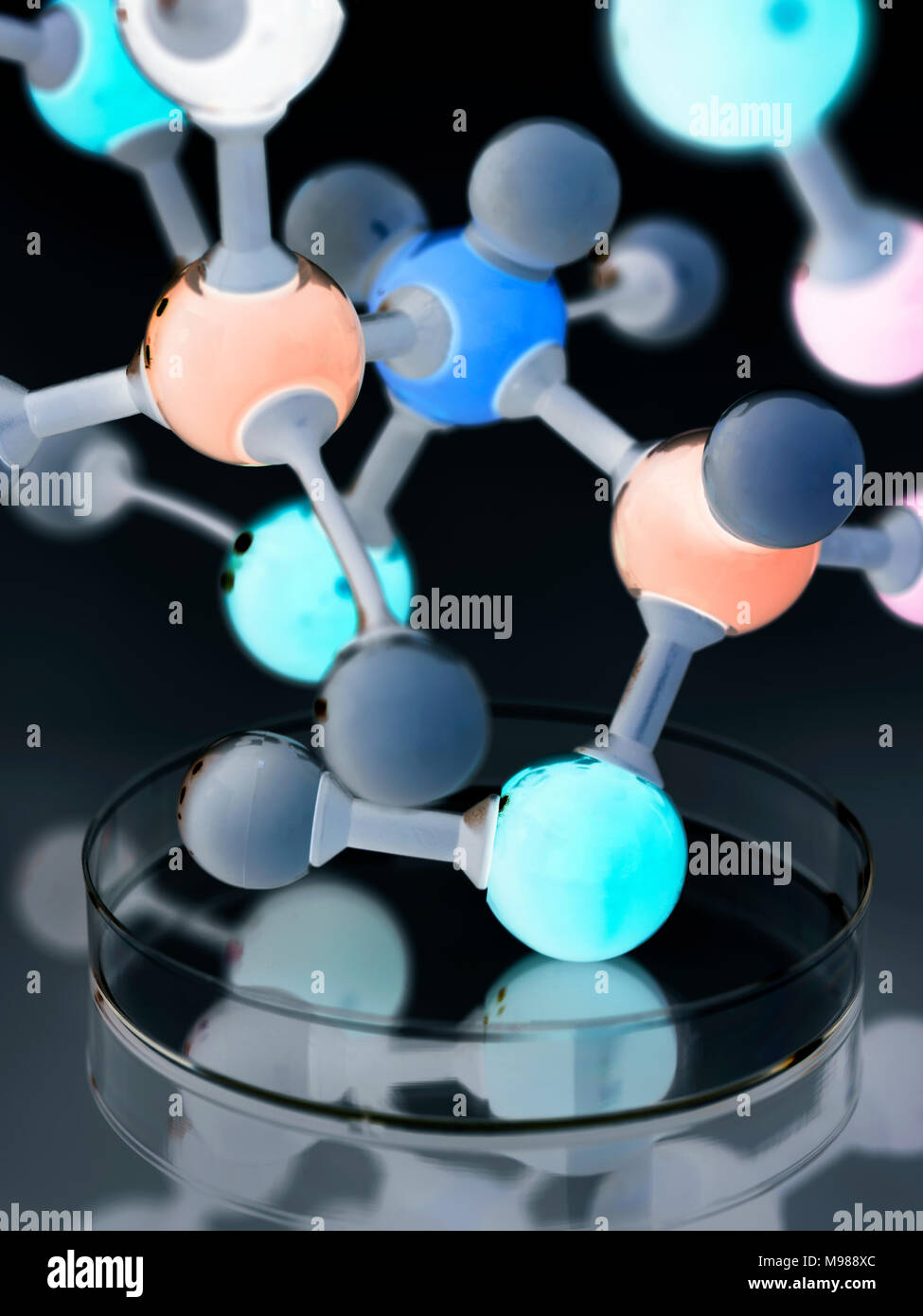Molecular model in petri dish Stock Photo