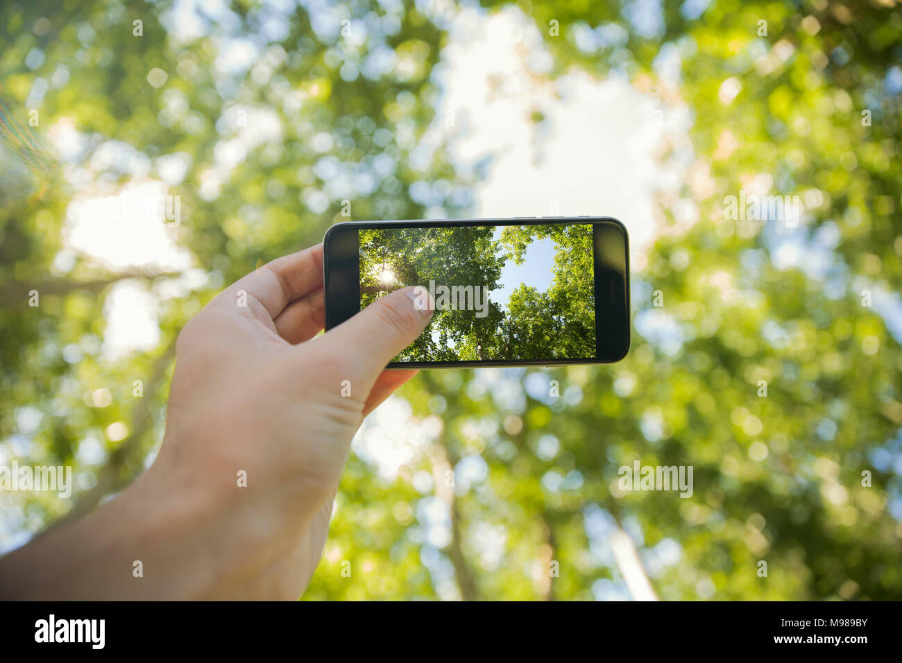 Man taking photos will cell phone in forest, close-up Stock Photo