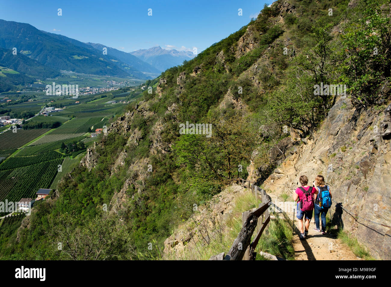 Sonnenberger Panoramaweg, Naturns, Vinschgau, Südtirol, Italien Stock Photo