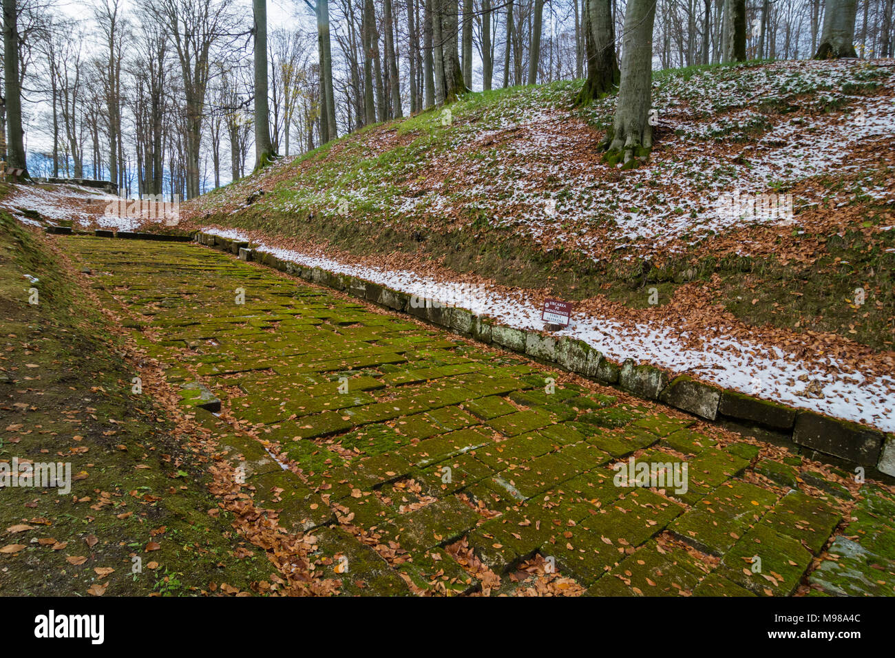 Paved ancient dacian road in Sarmizegetusa, capital of the Dacian Empire, UNESCO World Heritage Site Stock Photo