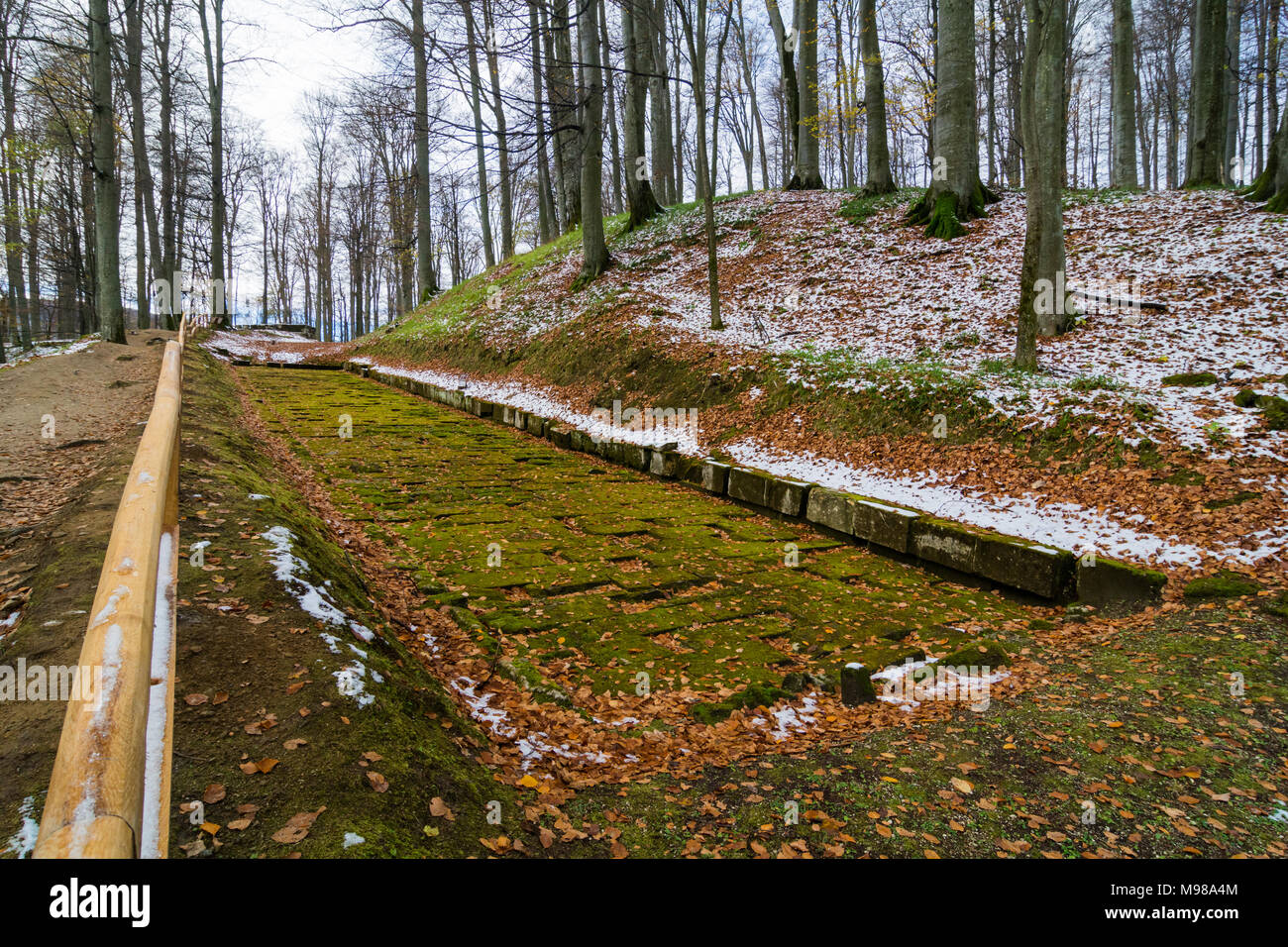 Paved ancient dacian road in Sarmizegetusa, capital of the Dacian Empire, UNESCO World Heritage Site Stock Photo
