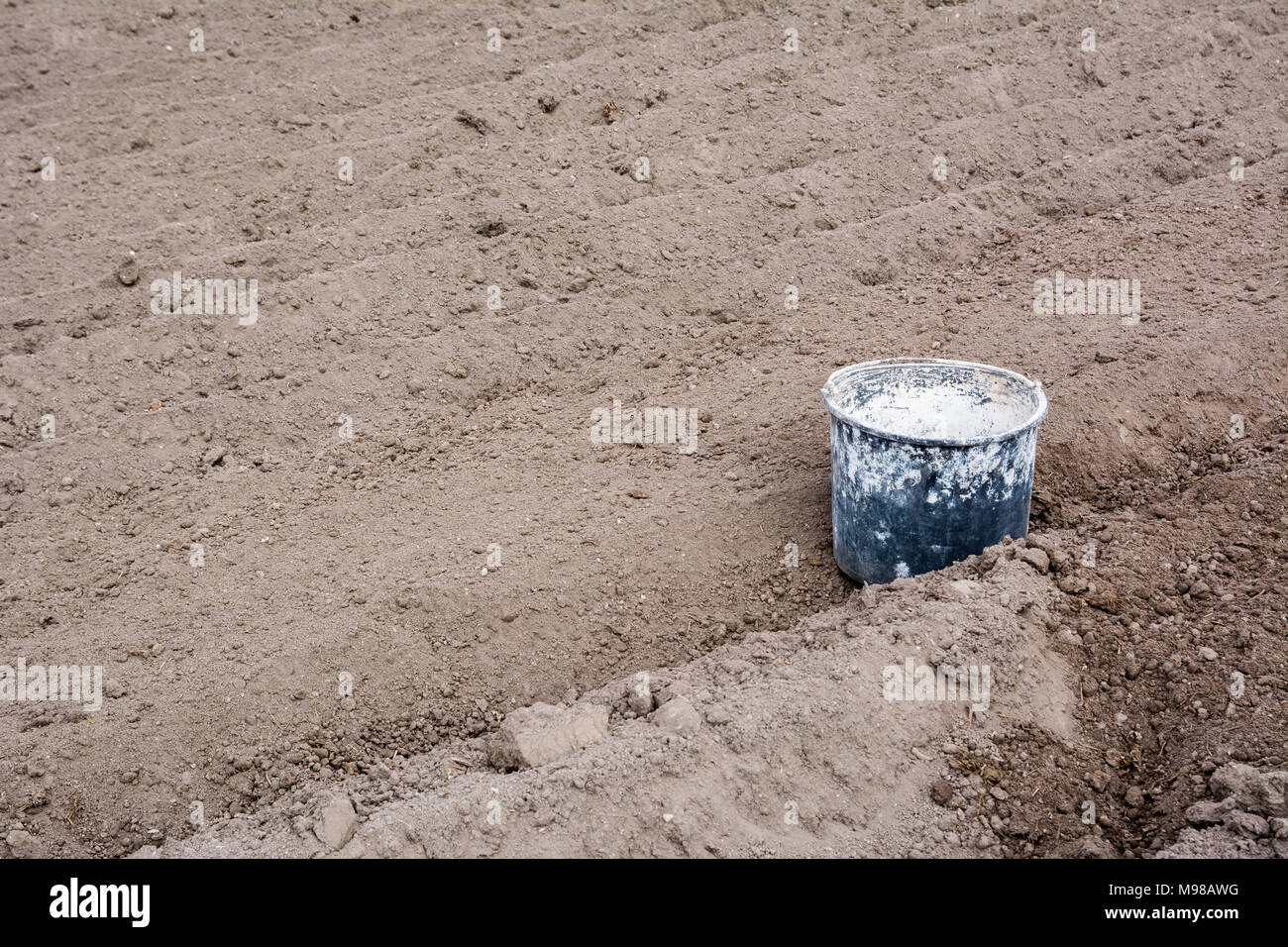 Old bucket covered in paint lying in the garden between rows. Work concept, copy space. Stock Photo