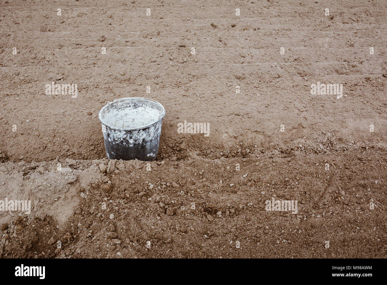 Old bucket covered in paint lying in the garden between rows. Work concept, copy space. Film effect. Stock Photo
