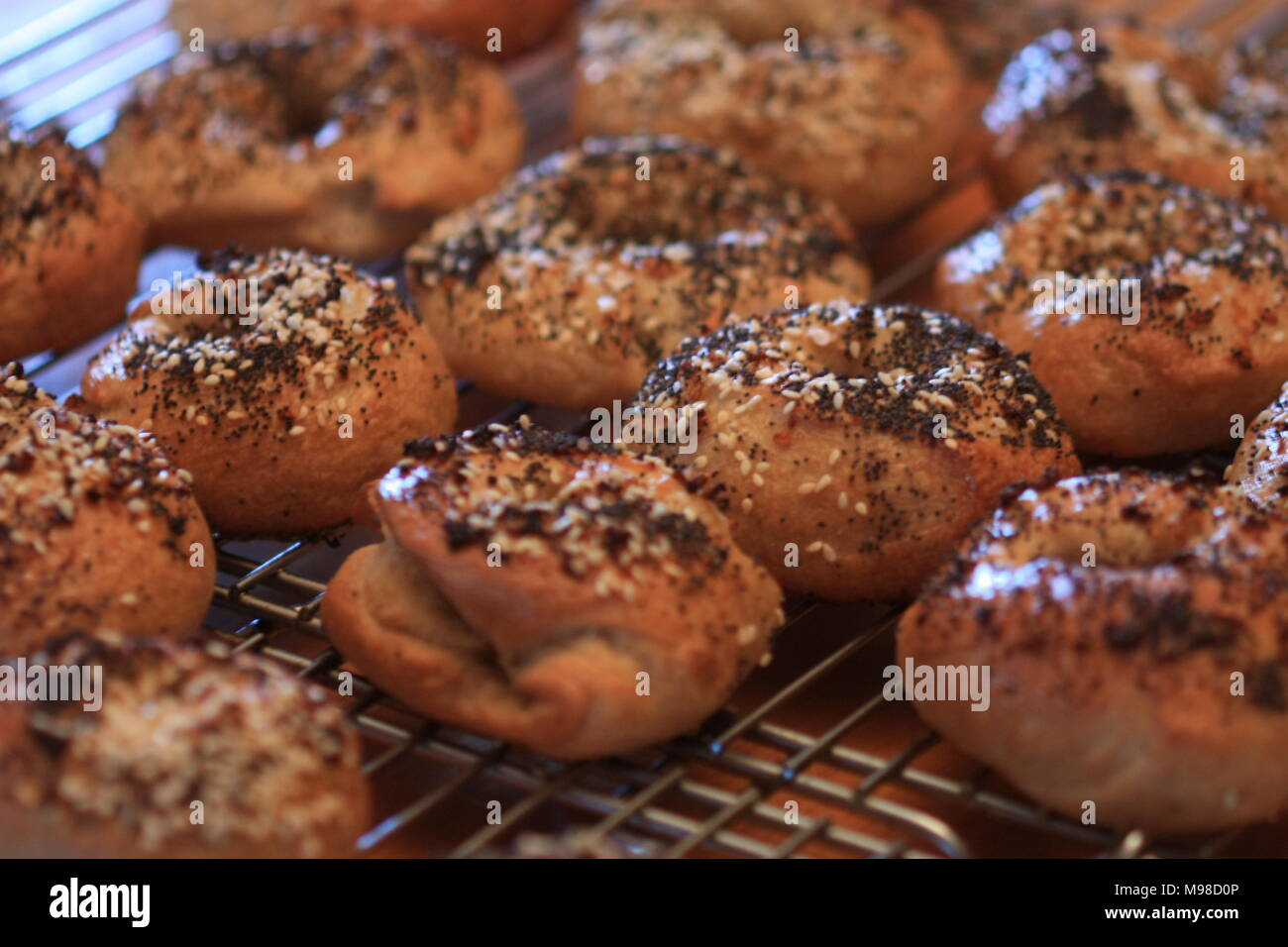 Fresh bagels on a cooling rack Stock Photo