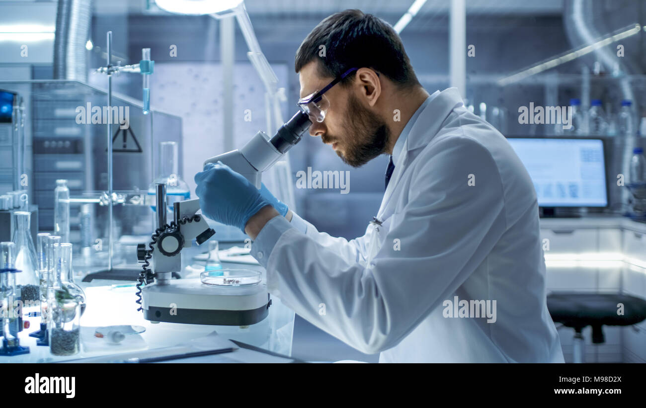 In a Modern Laboratory Chief Research Scientist Examining Substance in a Petri Dish Under Microscope. Stock Photo