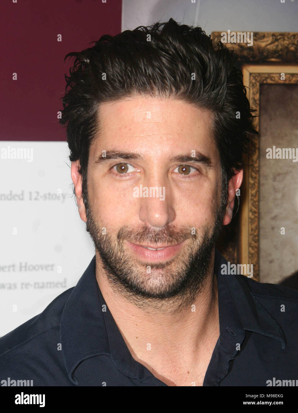 DAVID SCHWIMMER 2007 Photo By John Barrett/PHOTOlink.net Stock Photo ...