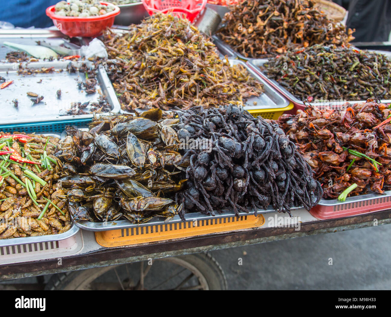 pile of filthy dishes infested with roaches Stock Photo - Alamy