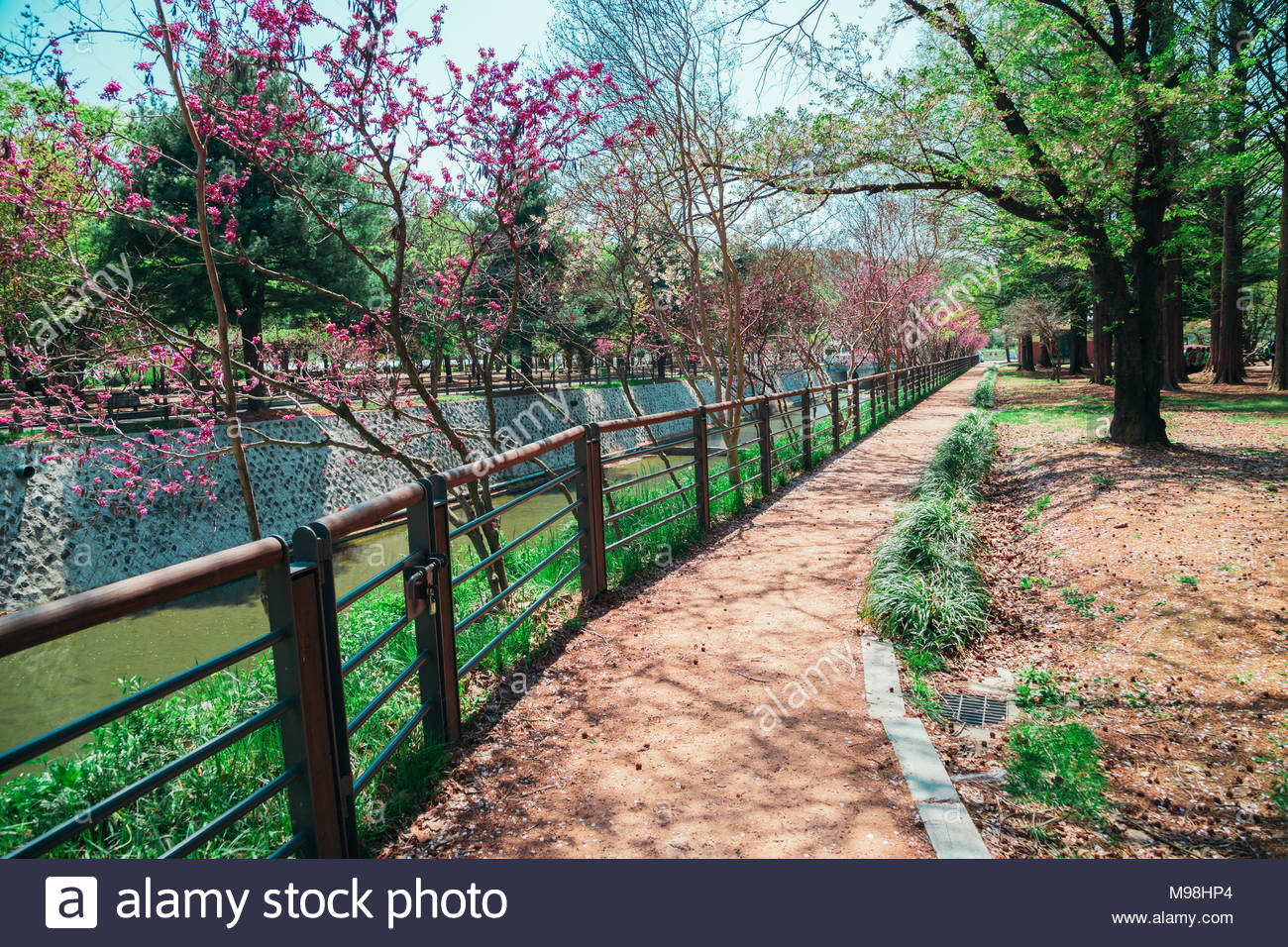 Nature view in Seoul National Cemetery, Korea Stock Photo - Alamy