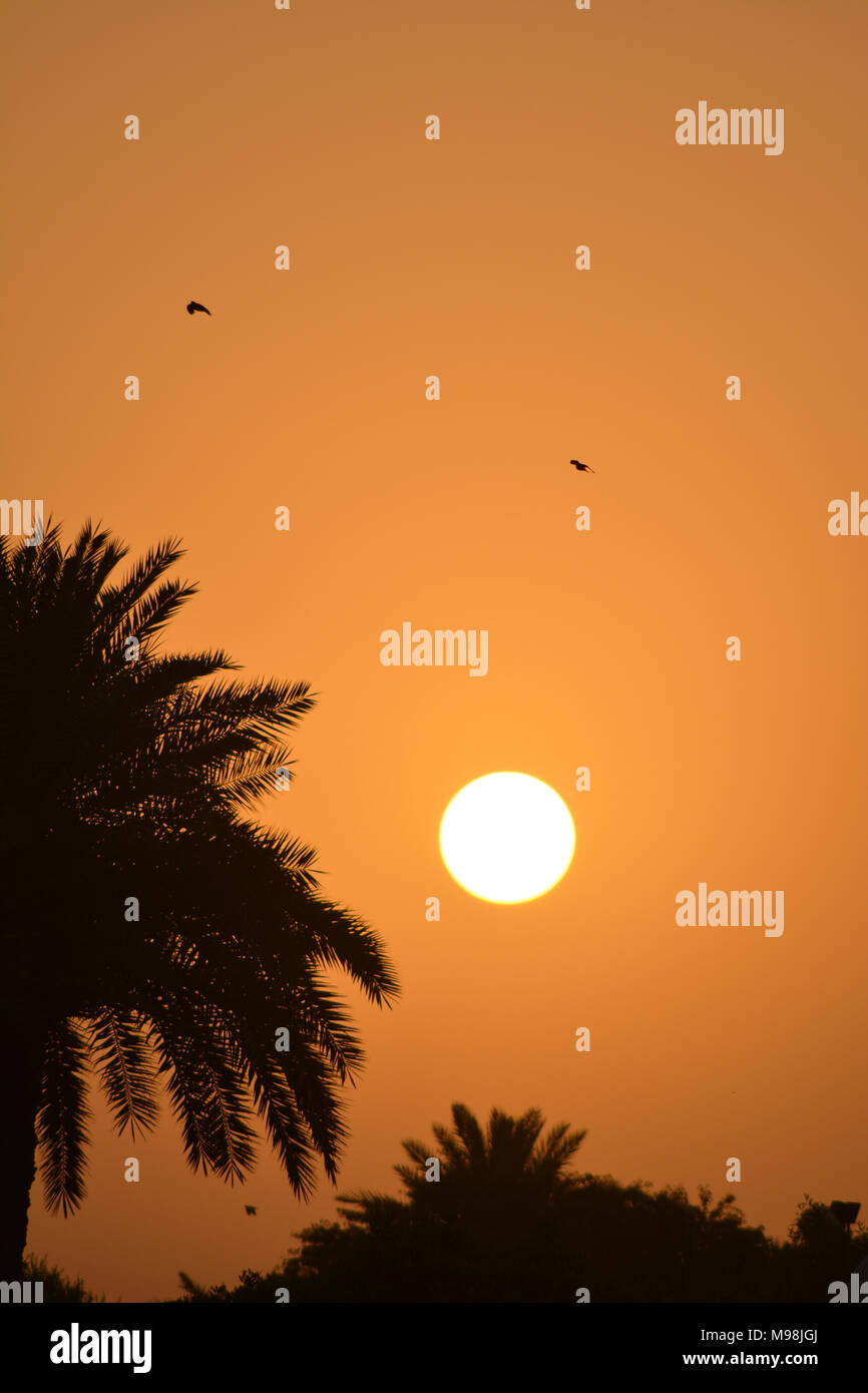this is Riyadh sun rise Stock Photo