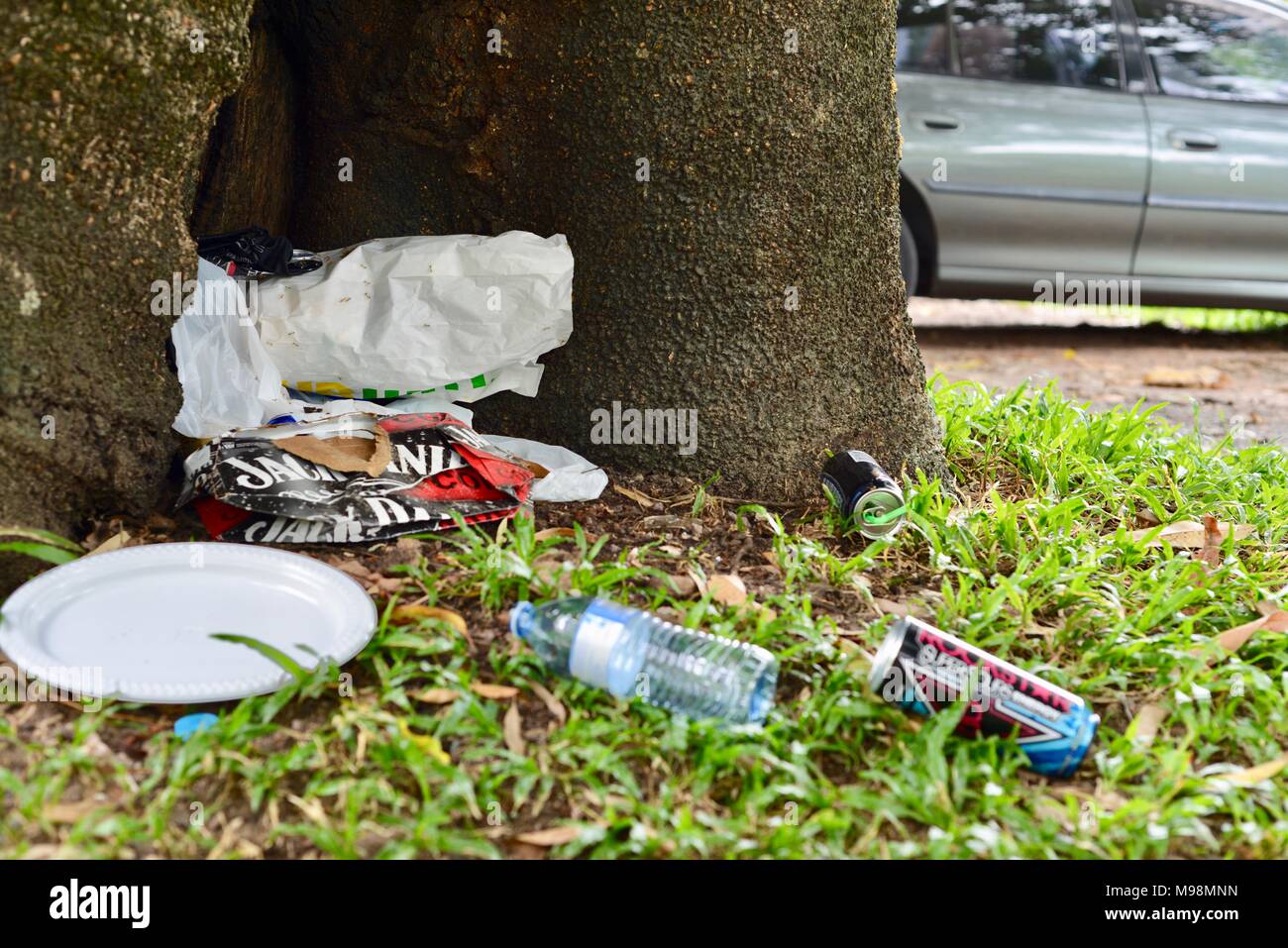 Rubbish left by a bunch of losers near a tree, big Crystal Creek QLD 4816, Paluma range national park, Australia Stock Photo