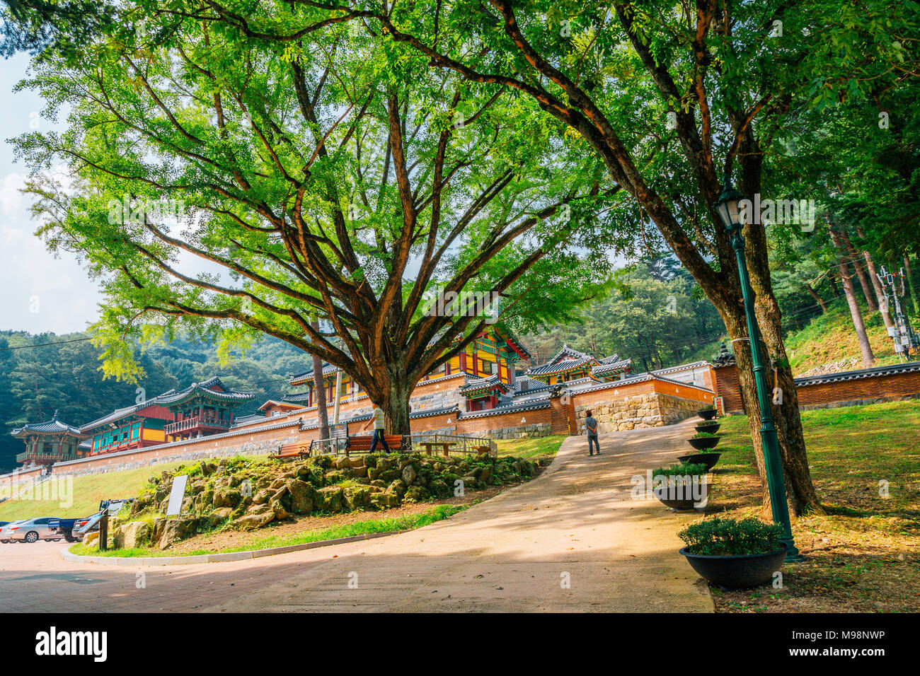 Wonju south korea hires stock photography and images Alamy
