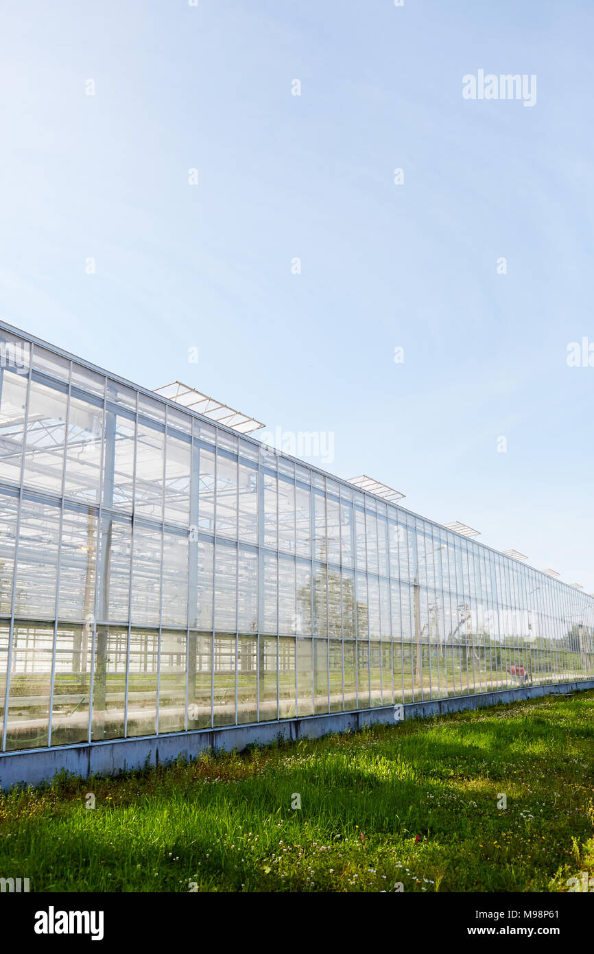 Glasshouse plants hires stock photography and images Alamy