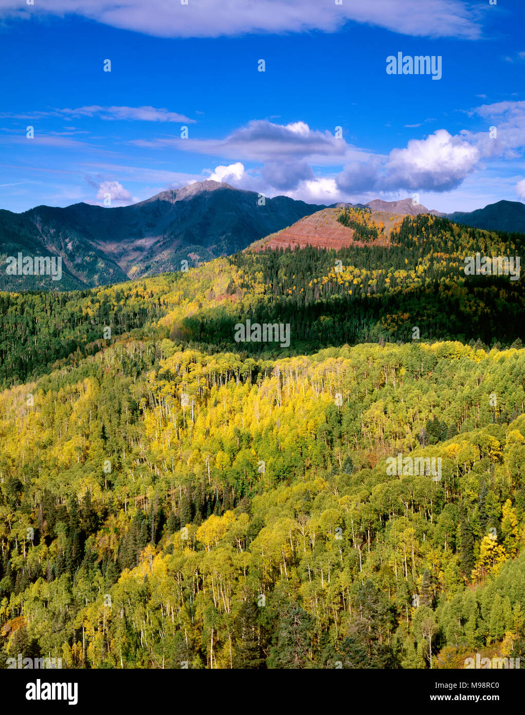 Silver Mountain, San Juan National Forest, Colorado Stock Photo