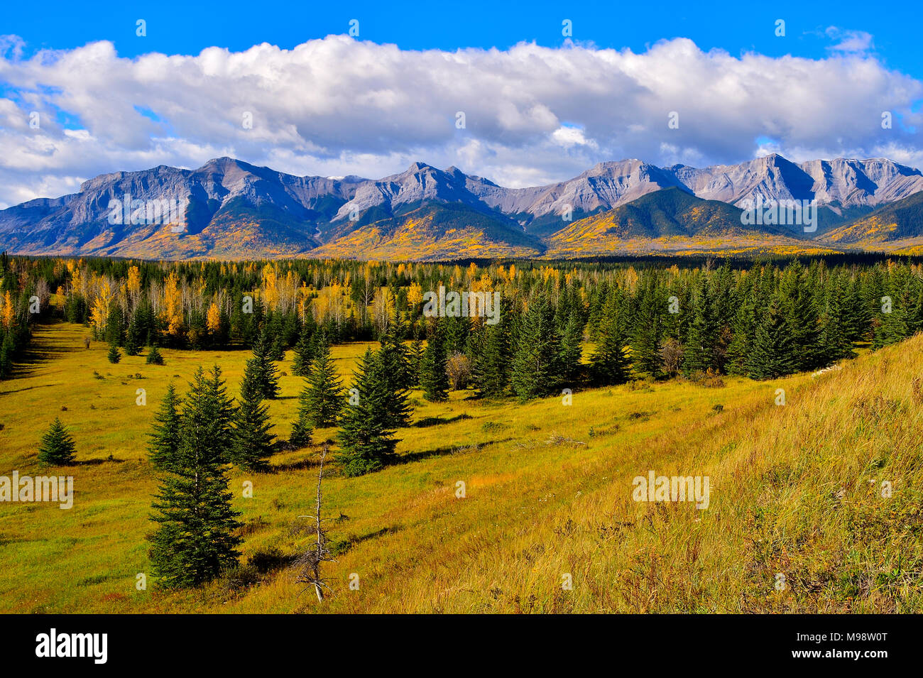 Foothills