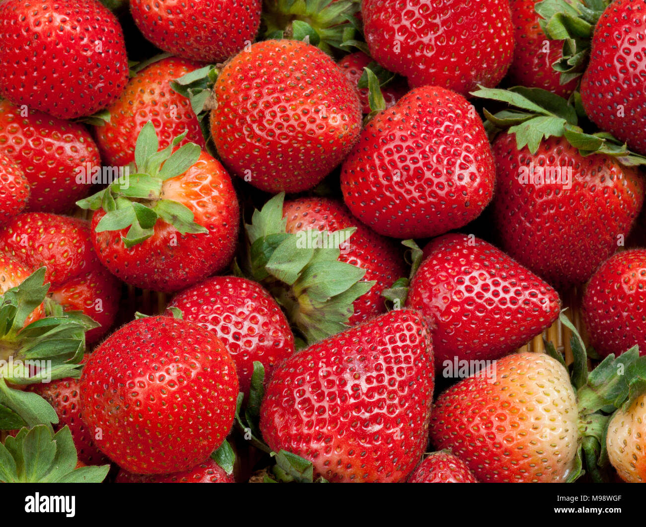 Group of Fresh Red Strawberries Background with Green Leaves Stock ...