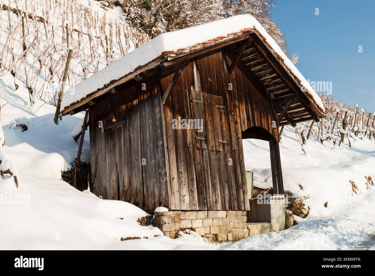 wooden house in front of vineyard plantation in winter Stock Photo