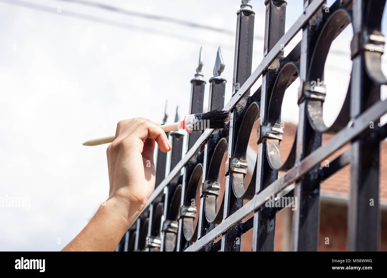 hand with brush painting metal fence Stock Photo Alamy