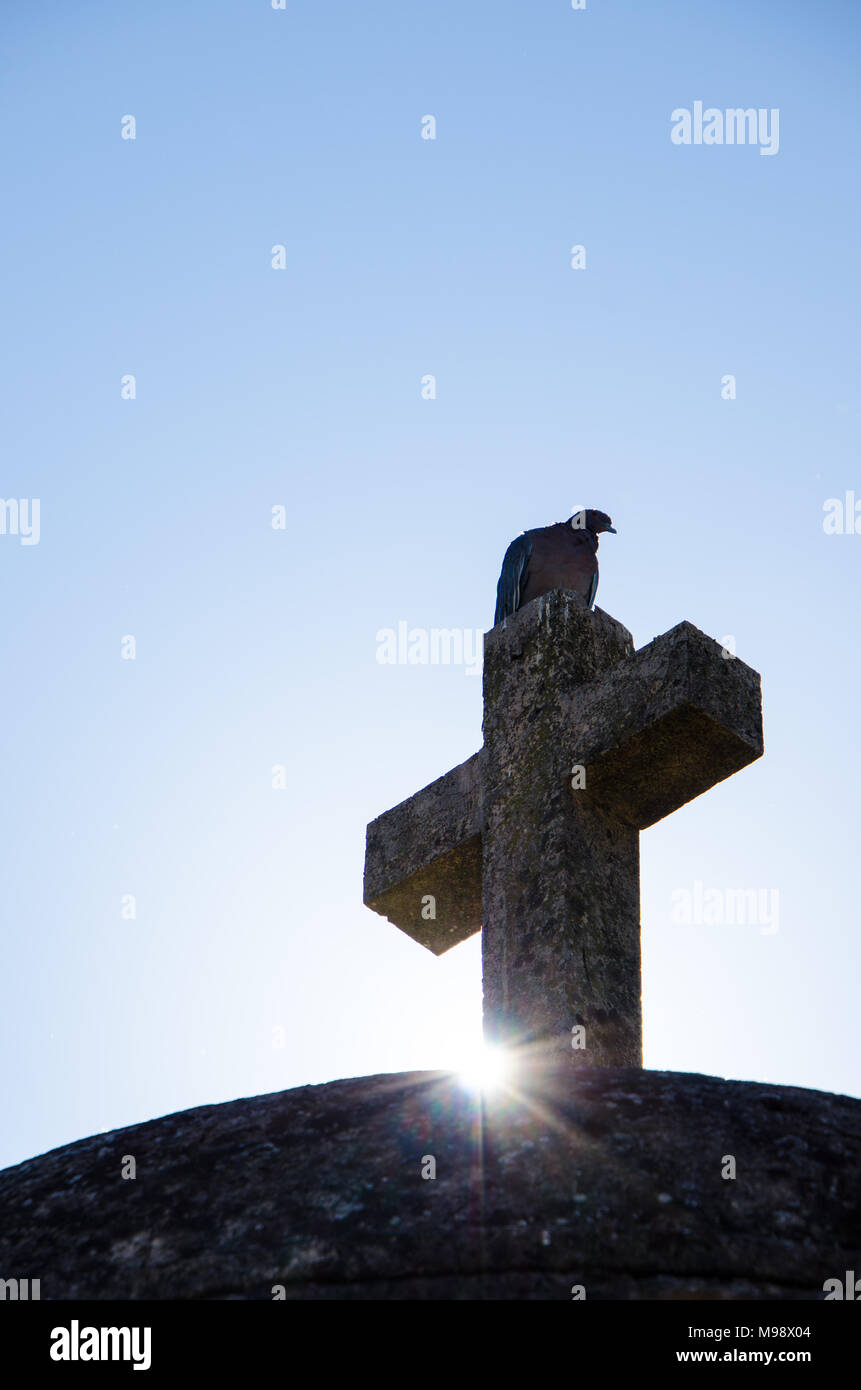 Feeling of mourning and sorrow as pigeon sits of tombstone cross with sunflare. Stock Photo
