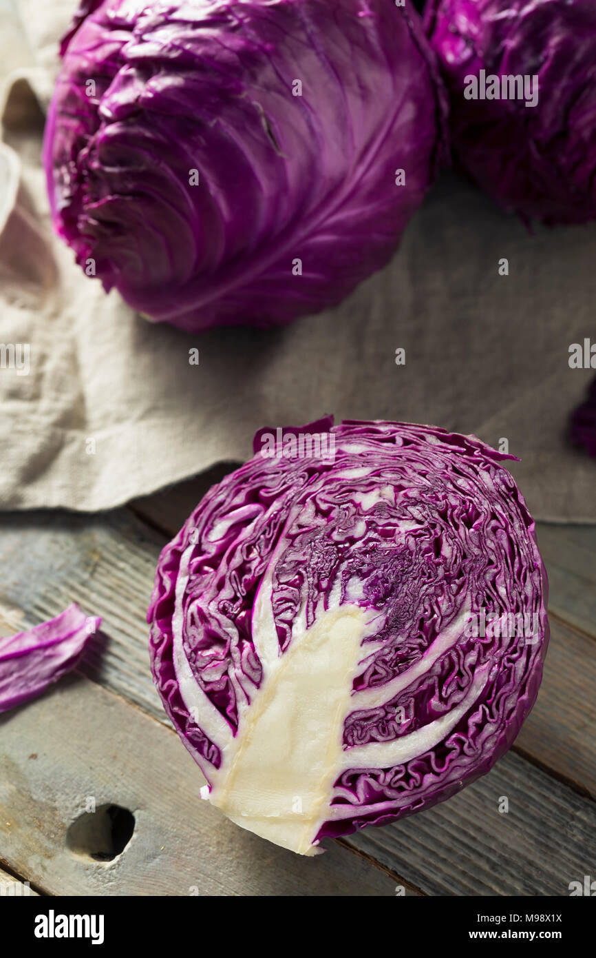 Raw Organic Purple Cabbage Ready to Chop Stock Photo Alamy