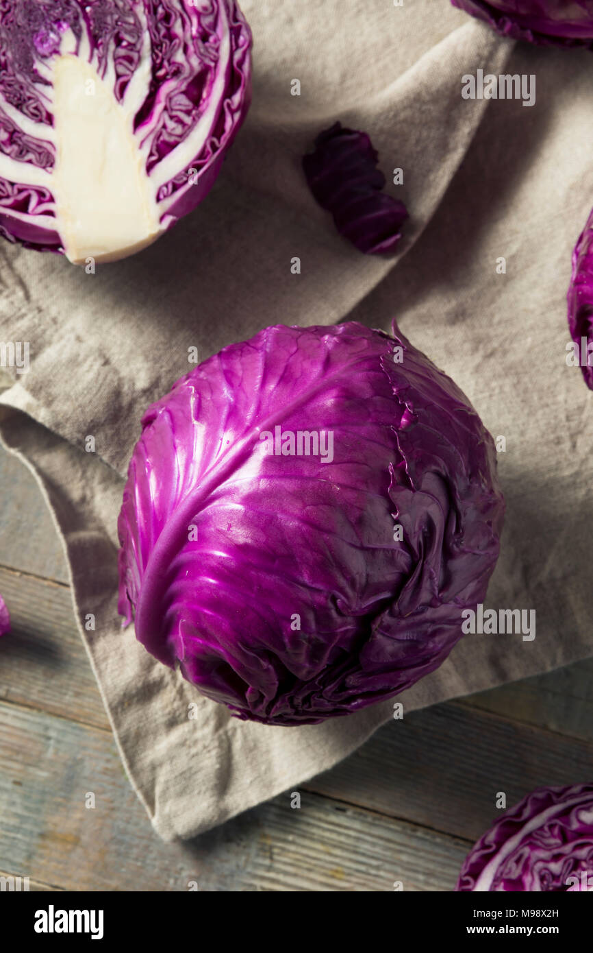 Raw Organic Purple Cabbage Ready to Chop Stock Photo Alamy