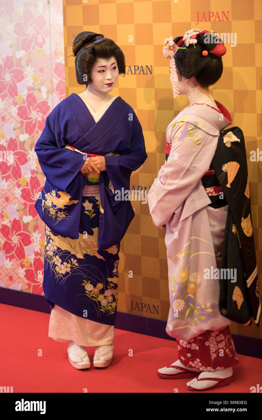 Japan Geisha, traditional Japanese female entertainers who act as hostesses © ifnm Stock Photo