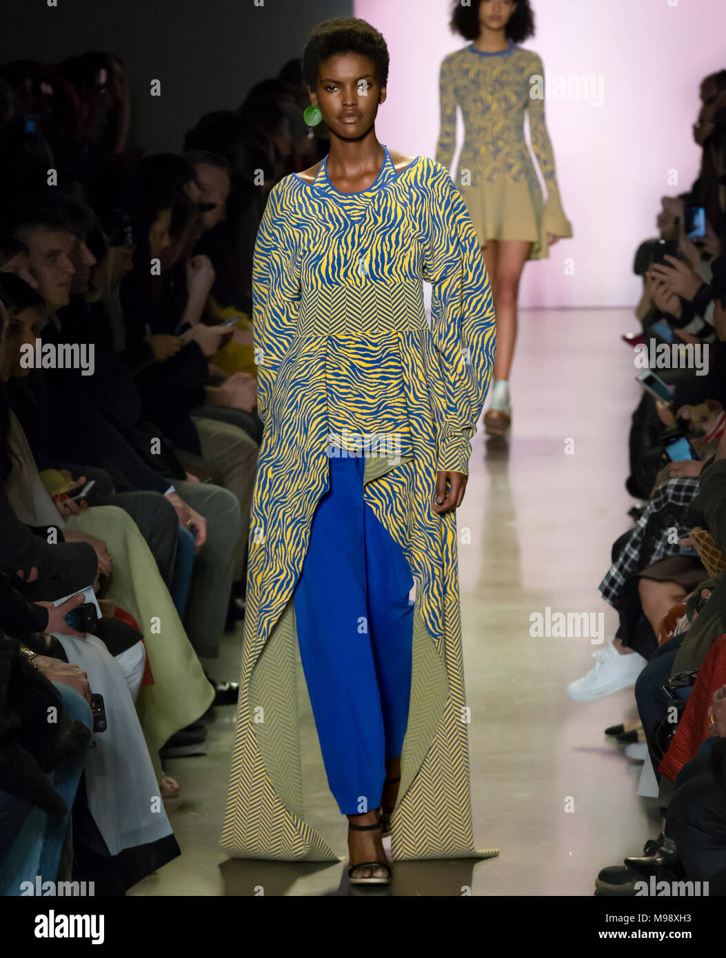 NEW YORK, NY - February 14, 2018: Amilna Estevao walks the runway at