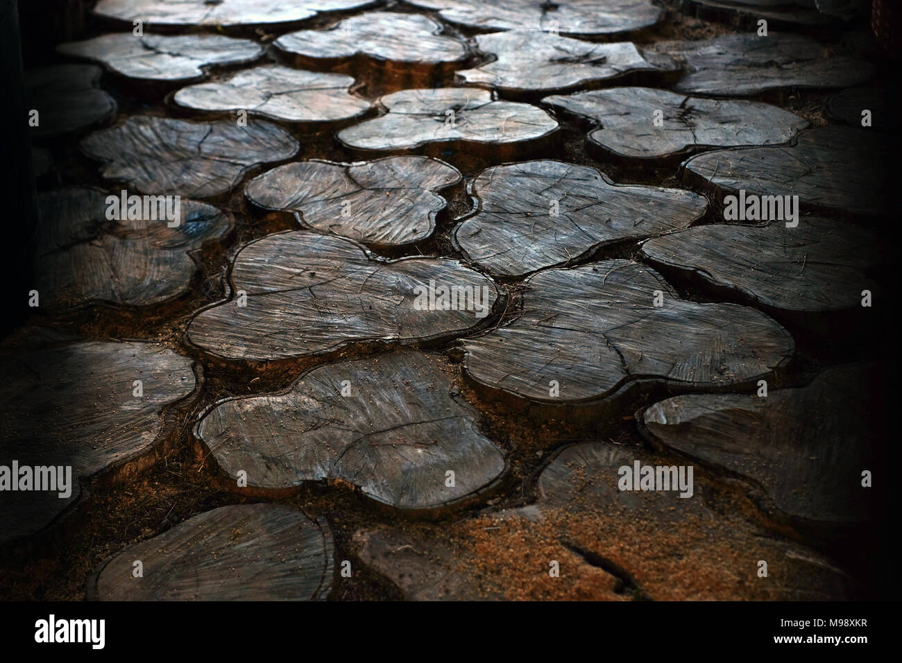 Rough cut of Pine tree floor tiles Stock Photo - Alamy