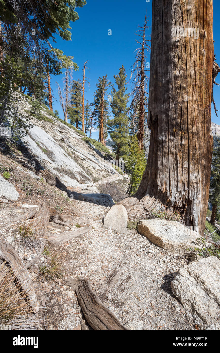 The Lakes Trail is a 13 mile trail in Sequoia National Park that leads to four snow-melt lakes, Heather, Emerald, Aster, and Peak Lake. Stock Photo