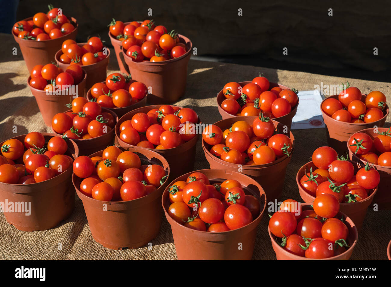 baskets of fresh red cherry tomatoes for sale at the market Stock Photo ...