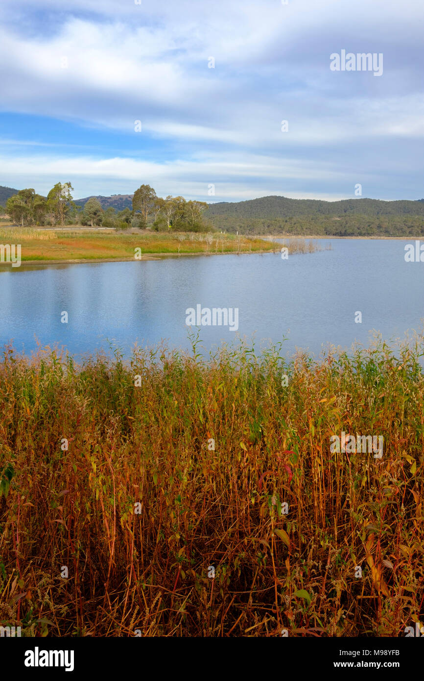 Lake, Trees and Grass at Sunset. Googong Dam, NSW Stock Photo Alamy