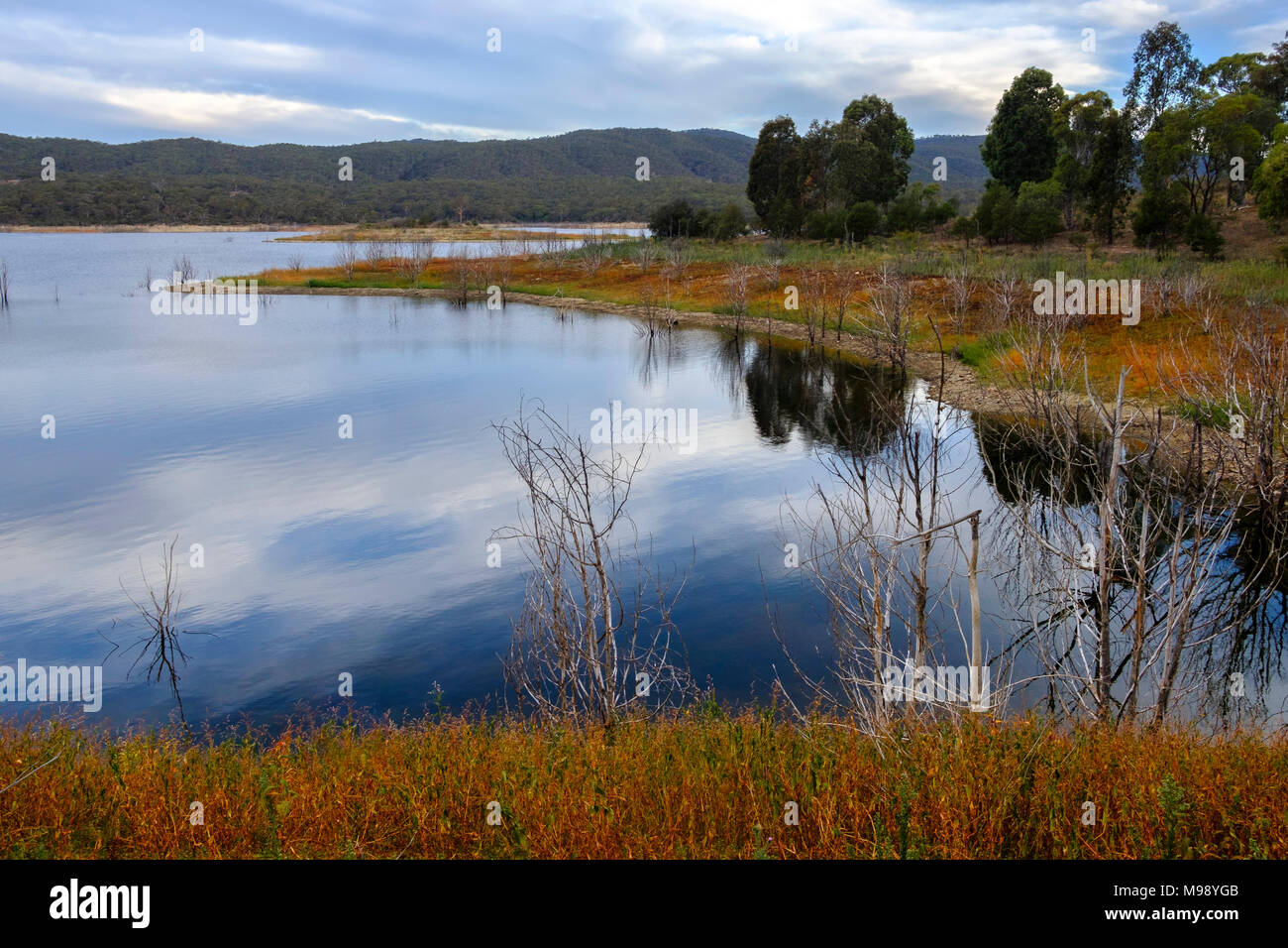 Lake, Trees and Grass at Sunset. Googong Dam, NSW Stock Photo Alamy