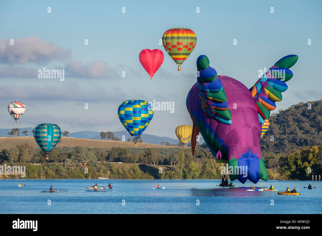 Enlighten Canberra Balloon Festival at Sunrise. Canberra, ACT