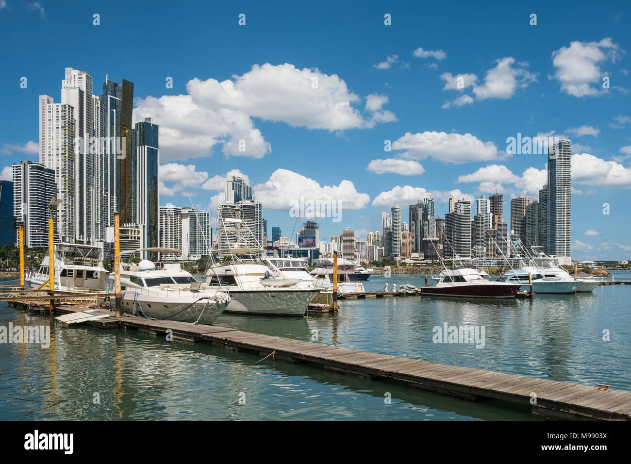 luxury yacht boats on harbor in Panama City with business district