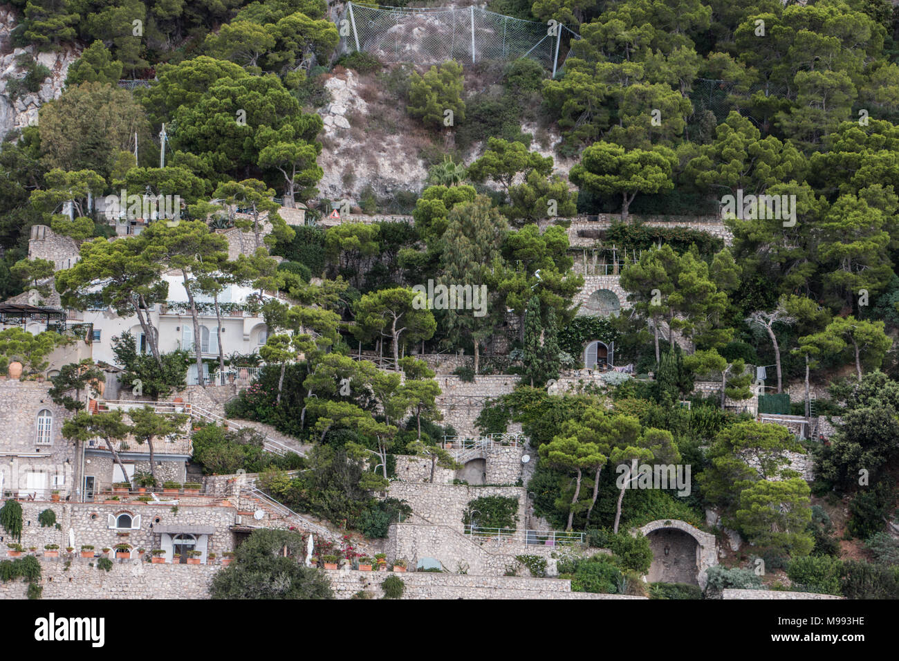 Villas amongst trees at Marina Piccolo, Capri, Campania Italy, Stock Photo