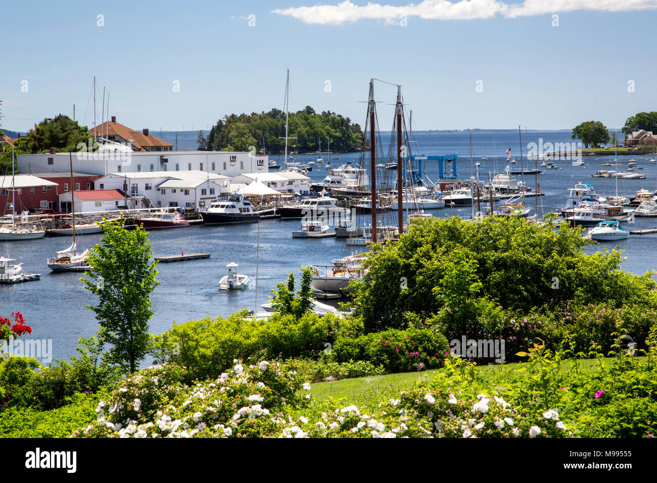Part of Camden Harbor, Camden, Maine, USA, in summer Stock Photo Alamy