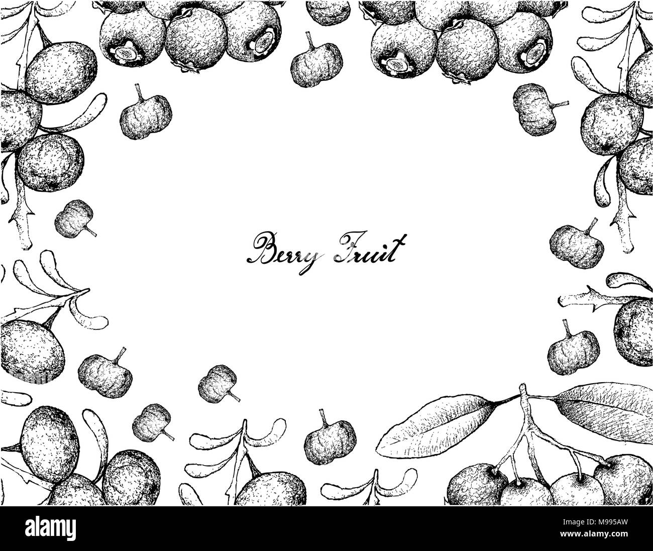 Berry Fruit, Illustration Frame of Hand Drawn Sketch of Blue Lilly Pilly or Syzygium Oleosum and Black Goji or Lycium Ruthenicum Fruits Isolated on Wh Stock Vector