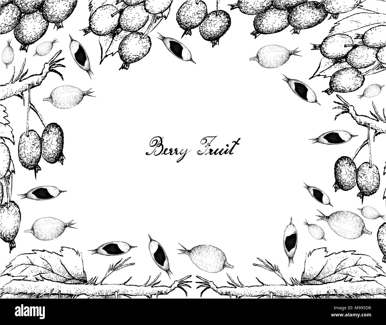 Berry Fruits, Illustration Frame of Hand Drawn Sketch Delicious Fresh Blackberries and Blackberry Jam Fruit or Rosenbergiodendron Formosum Isolated on Stock Vector