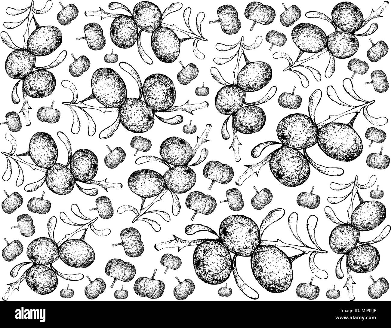 Berry Fruit, Illustration Wallpaper Background of Hand Drawn Sketch of Black Goji or Lycium Ruthenicum Fruits Isolated on White Background. Stock Vector