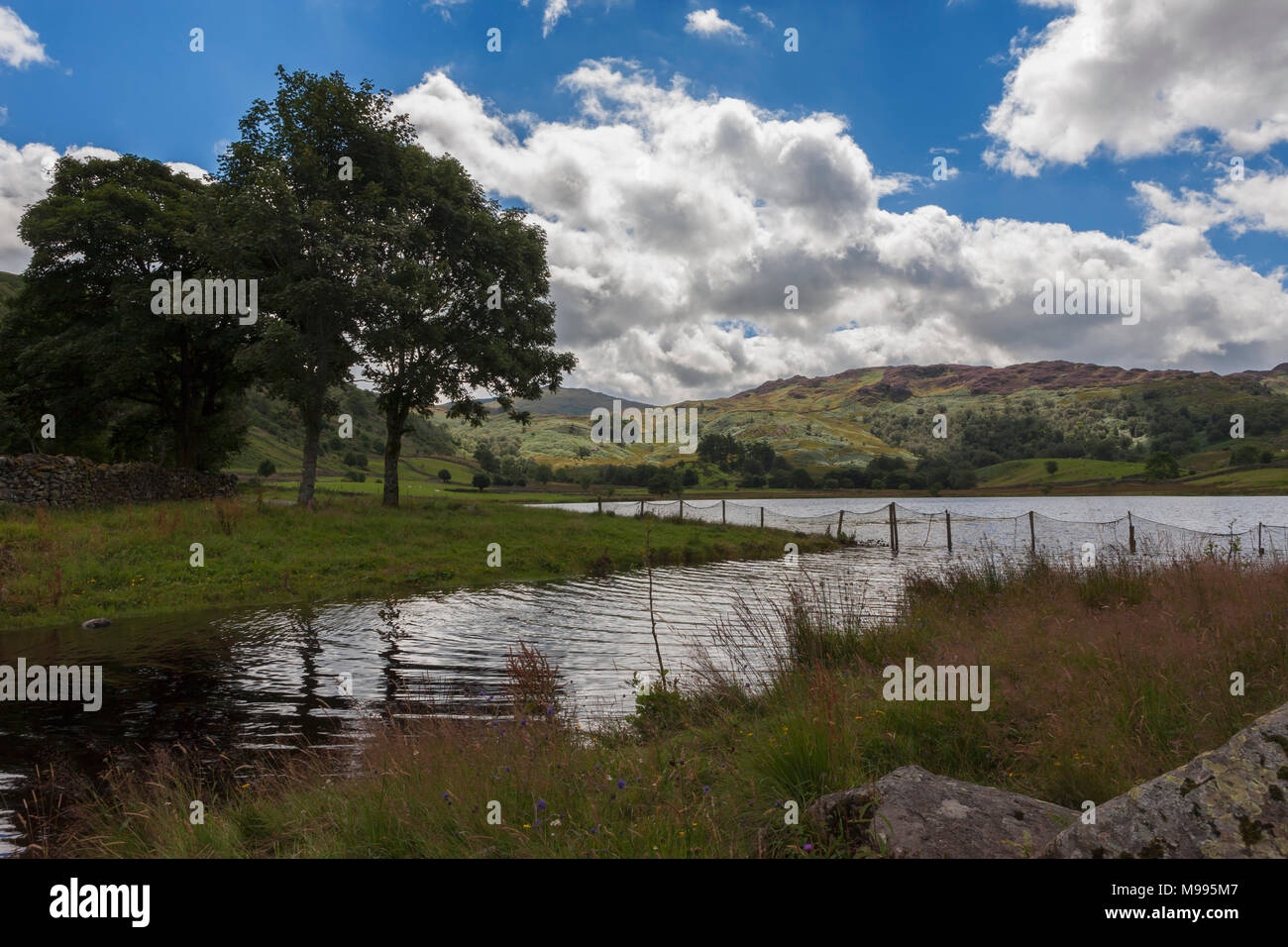 Watendlath Tarn, Lake District, Cumbria, England, UK Stock Photo